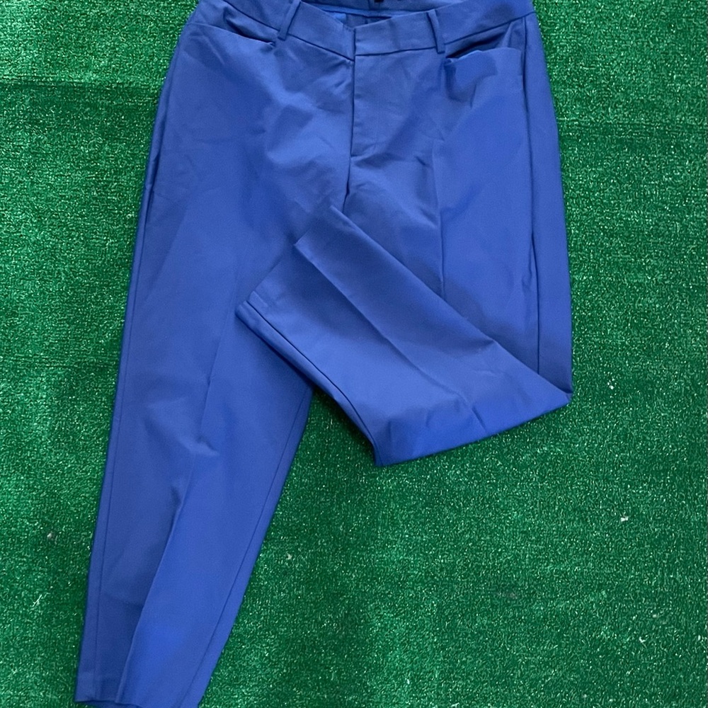 Eloquii Women's Vibrant Blue Ankle Pants